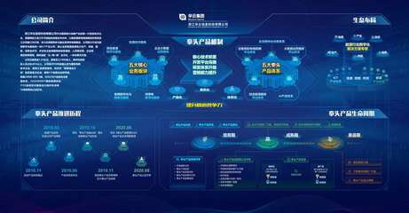 華云集團獲評浙江軟件核心競爭力企業，彰顯國網浙江電力產業單位數字化轉型硬實力